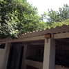 Desmontaje tejado uralita