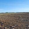 Movimiento de Tierras
