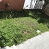 Arreglo jardín