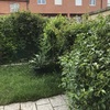 Hacer puesta a punto de jardín
