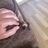 Reparar sofa