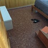 Poner Parquet o Tarima Vivienda (Parcial)