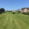 Mantener Jardín