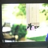 Reparar pantalla tv