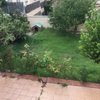 Hacer puesta a punto de jardín