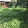 Desbrozar Jardín