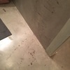 Reforma suelo y baños microcemento