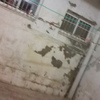 Construir Casa