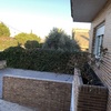 Hacer puesta a punto de jardín