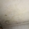Pintar Interior De Vivienda