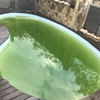 Limpieza puntual de piscina