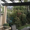 Insonorizar Vivienda