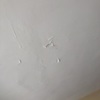 Pintar Interior De Vivienda