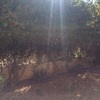 Desbrozar Jardín