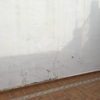 Reforma Vivienda
