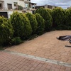 Hacer puesta a punto de jardín