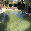 Puesta en Funcionamiento Piscina