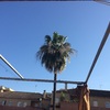 Cambiar Tela Toldo
