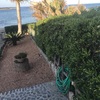 Desbrozar Jardín