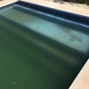 Limpieza puntual de piscina