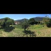 Hacer puesta a punto de jardín