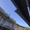 Reparar Toldo