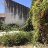 Hacer puesta a punto de jardín