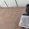 Cesped Artificial
