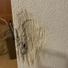 Otros Trabajos De Pintura