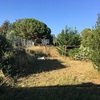 Construir Casa Prefabricada Madera