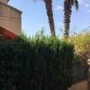 Hacer puesta a punto de jardín