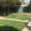Mantener Jardín