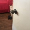 Reparar Carpintería Madera