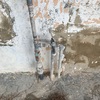 Reformar Instalación Fontanería