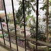 Hacer puesta a punto de jardín