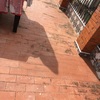 Impermeabilización Parcial Vivienda O Local