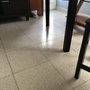Poner Parquet o Tarima Vivienda (Completa)