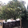 Otros Trabajos De Jardinería