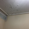 Otros Trabajos De Pintura