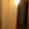 Quitar Papel o Empapelar