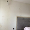 Pintar Interior De Vivienda