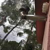 Deshollinar Chimenea