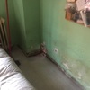 Reformar Instalación Fontanería