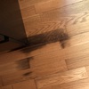 Poner Parquet o Tarima Vivienda (Parcial)