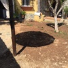 Poner Hormigón Impreso