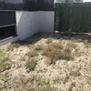 Desbrozar Jardín