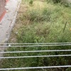 Desbrozar Jardín