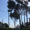 Otros Trabajos De Jardinería