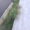 Instalar Sistemas de Riego