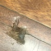 Otros Trabajos De Parquet